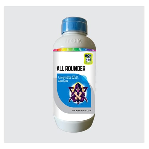 All Rounder